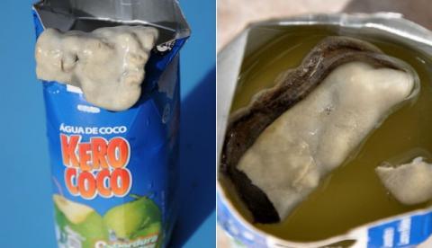 Fotógrafo acha objeto misterioso em caixa de água de coco